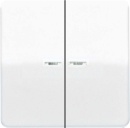 Jung rocker light guide aws for push-button CD 595 KO5 WW NOWOSC