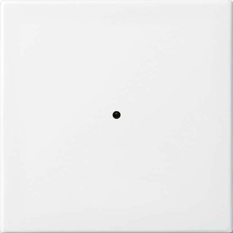 Busch-Jaeger Wall transmitter alpine white 6731-914 NEW