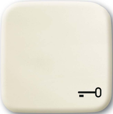 Busch-Jaeger Rocker ws with symbol key 2520 TR-212 NEW