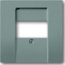 Busch-Jaeger Central plate meteor/gr f.UAE/TAE/LS...