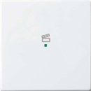 Busch-Jaeger Bascule 1-f Symbole Scène blanc...