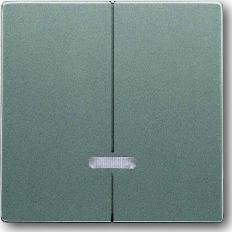 Busch-Jaeger Elément de commande avec lampe à incandescence. mete 6545-803 NOUVEAU