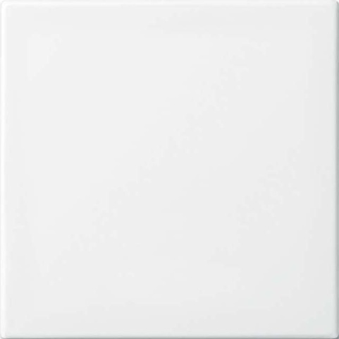 Busch-Jaeger Rocker aws Busch-balance SI 2546-914 NEW