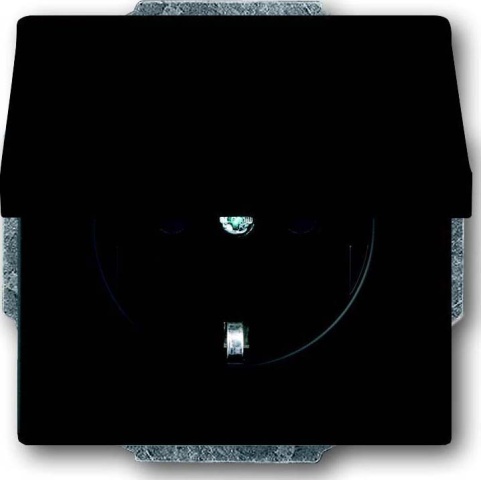 Busch-Jaeger socket outlet insert, hinged, black matt 20 EUK-885 NEW