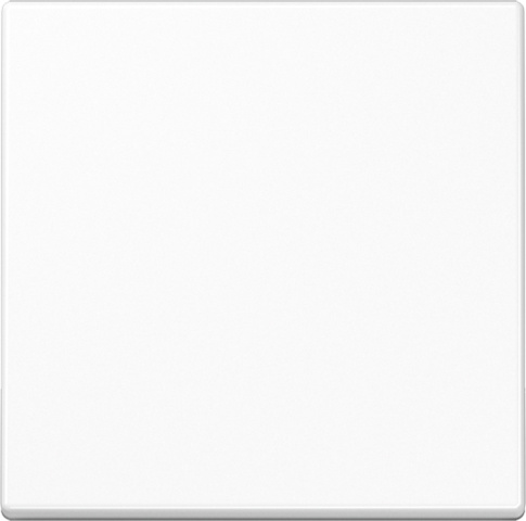 Jung Steuertaste Standard A 1700 WW NEU