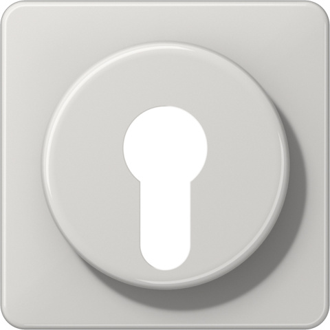 Pokrywa junga lgr dla przelacznika kluczykowego. CD 528 LG NOWOSC