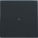 Busch-Jaeger Wippe 1-fach anthrazit 6230-10-81 NEU