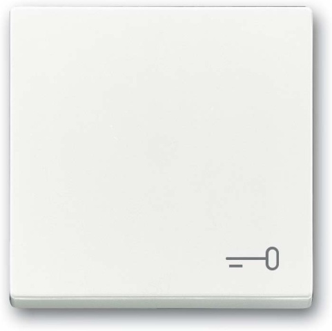 Busch-Jaeger Rocker with imprint studio white 2520 TR-84 NEW