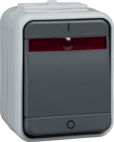 Elso control switch, surface-mounted, 2-pole, loaded, grey/grey ELG441219 NEW