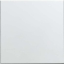 Busch-Jaeger Piastra centrale cieca bianco alpino 1576...