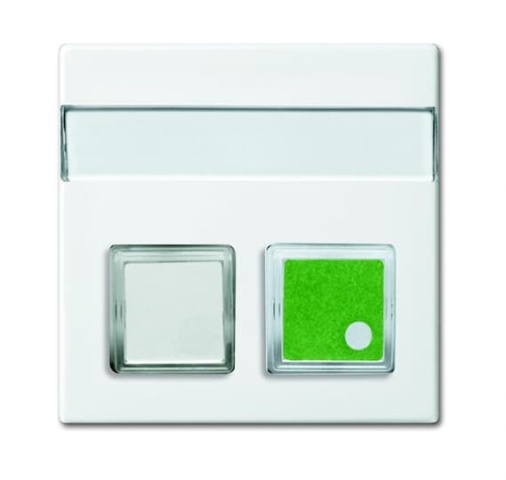 Busch-Jaeger Zentralscheibe alpinws 1572 CN-914 NEU