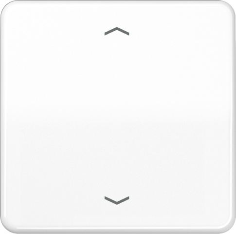 Jung control button standard symbols arrows CD 1700 P WW NEW