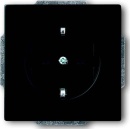 Busch-Jaeger Steckdosen-Einsatz schwarz matt 20 EUC-885 NEU