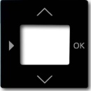 Busch-Jaeger Central plate Timer Operating element...