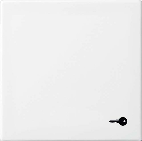 Busch-Jaeger Rocker met opdruk alpine wit 2520 TR-914 NIEUW