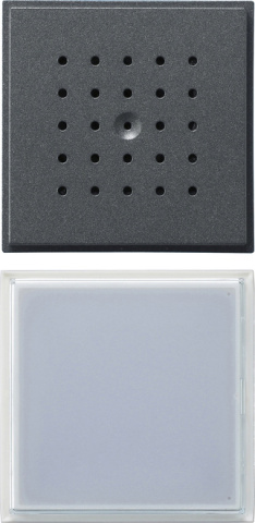 Gira Türstation UP 1fach anth 126067 NEU