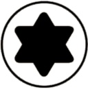 Linsensenkschrauben mit TX ISO 14584 A2 M 6X45 VPE: 200 NEU