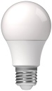 LEDs light LED SMD bulb - bulb shape A60 E27 8W 806lm...