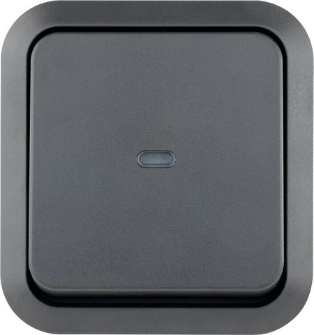 REV AquaStorm Kontrollschalter mit Glimmlampe AP grau NEU