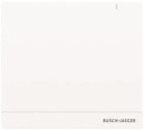 Busch & Jäger System Access Point 2.0 SAP/S.13...