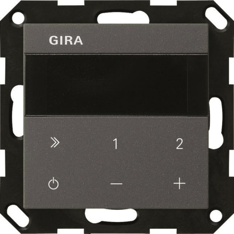 GIRA UP Radio IP System 55 232028 Anthracite NEW