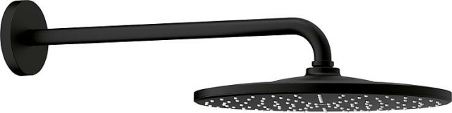 Grohe hoofddoucheset Rainshower Mono 310 en wandarm 422 mm, phantom black NIEUW