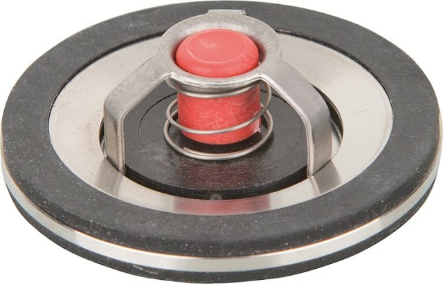 Gravity Brake TopInset Type 73, DN15 (1/2) NEW