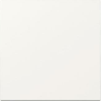 GIRA 329603 Rocker System 55 czysta biel z połyskiem NOWOŚĆ