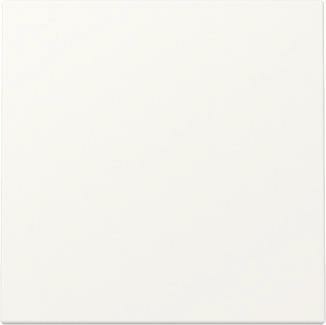 GIRA 329627 Wippe System 55 Reinweiß seidenmatt NEU