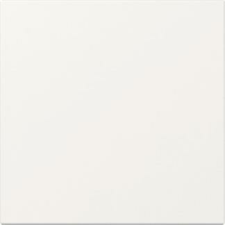 GIRA 349603 Rocker straight System 55 pure white glossy NEW