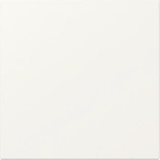 GIRA 349627 Rocker straight System 55 pure white silk matt NEW